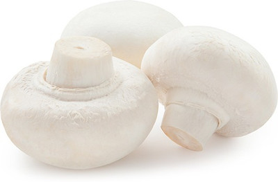 XOLDA Mushroom Herb Seed(50 per packet)