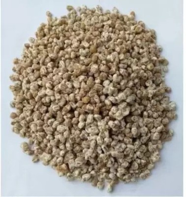 MAA Mushroom Seed(70 per packet)