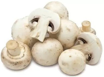 Chalisa Mushroom Seed(20 per packet)