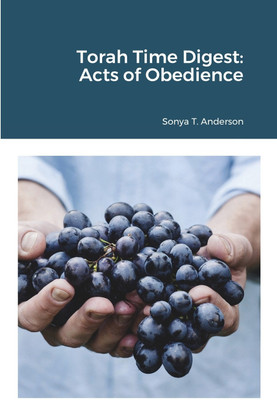 Torah Time Digest(English, Paperback, Anderson Sonya T)