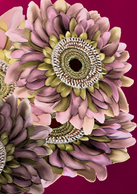 My Week Book(English, Paperback, Avalon Dawn)