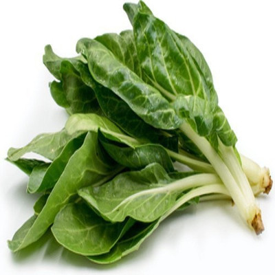 Mozette Swiss Chard White Plant Seed(12 per packet)