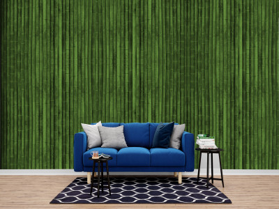 ASA PRINT SOLUTION Vinyl Decorative Green Wallpaper(L x W: 228 cm x 40 cm)