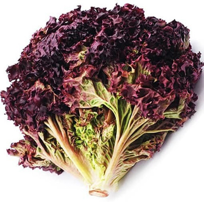 Paudha RedLettuce Vegetable Seed(41 per packet)