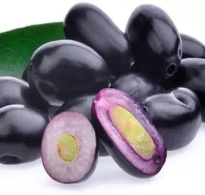 Chalisa Black Plum, Jamun, Malabar plum, Java plum Seed(37 per packet)