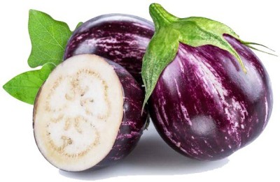 UGRA Brinjal / Eggplant / Aubergine Seed(150 per packet)