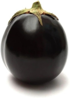 UGRA Brinjal Round Purple Seed(4000 per packet)