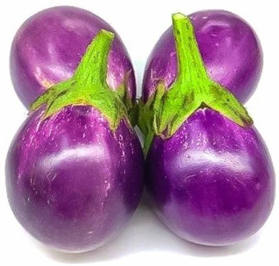 UGRA Brinjal Seed(4000 per packet)