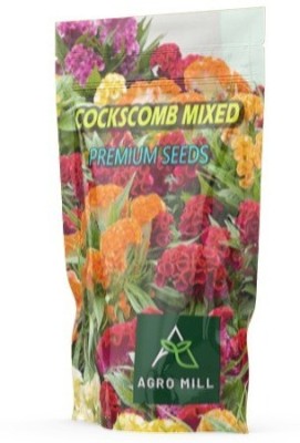 AGRO MILL PREMIUM QUALITY MIXED COCKSCOMB/COXCOMB/CELOSIA PLUMOSA FLOWER Seed(50 per packet)