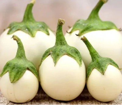 UGRA Eggplant Golden Brinjal – White Eggplant Seed(3500 per packet)
