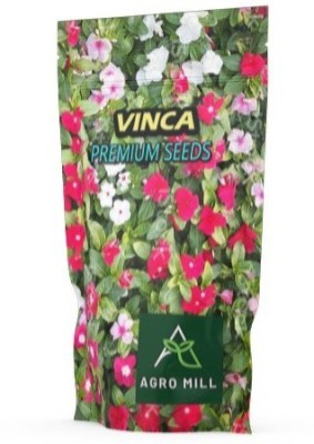 AGRO MILL VINCA/SADA BAHAR/BARAMAASI/PERIWINKLE/SADAPHU Seed(100 per packet)