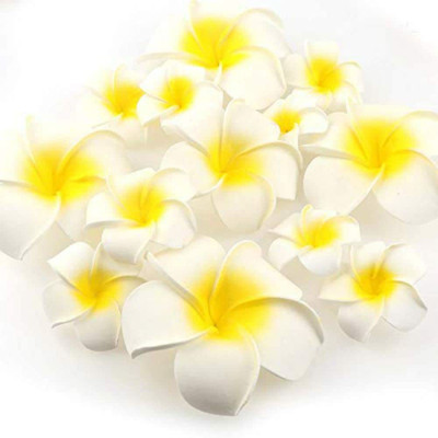 SHIVAMKRAFT 12 Pcs Artificial White Fake Foam Hawaii Frangipani Beach Floating Flowers White Frangipani Artificial Flower(2.5 inch, Pack of 12, Single Flower)