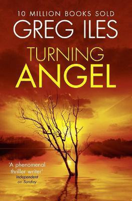 Turning Angel(English, Paperback, Iles Greg)