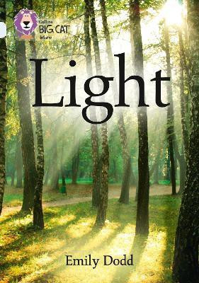 Light(English, Paperback, Dodd Emily)