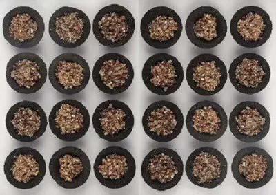 Swara Kapoor Guggal Sambrani Dhoop Cups & Havan Dhoop Cup with Steel Stand (24 Pcs) Guggul Dhoop(Pack of 2)