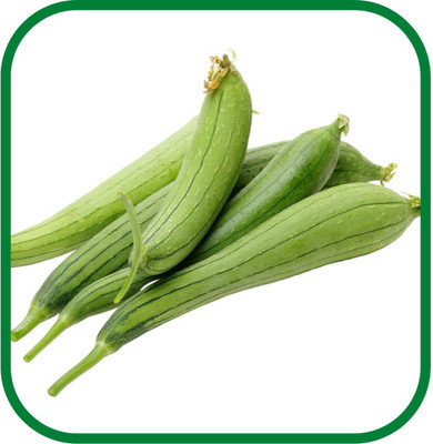 MKR Enterprises Spong Gourd Seed(50 per packet)