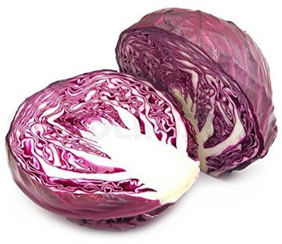 TRICONE FHF - F1 Hybrid Red Cabbage Patta Gobhi 1000 Beej Q39 Seed(1000 per packet)
