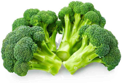 WILLVINE NDIR-5 F1 Hybrid Broccoli Aria Seeds Seed(400 per packet)