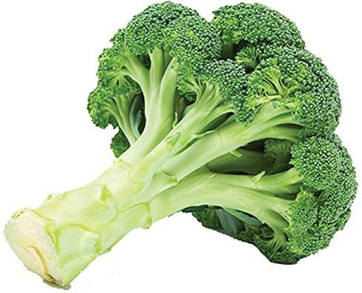 CYBEXIS XLL-1 - Green Broccoli - (1350 Seeds) Seed(1350 per packet)