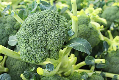 VibeX ® XLR-14 Hybird Broccoli Seeds Seed(200 per packet)