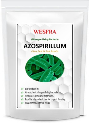 WESFRA Azospirillum Nitrogen Fixing Bio fertilizer for all Plant Fertilizer(1 kg, Powder)