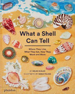 What A Shell Can Tell(English, Hardcover, Scales Helen)
