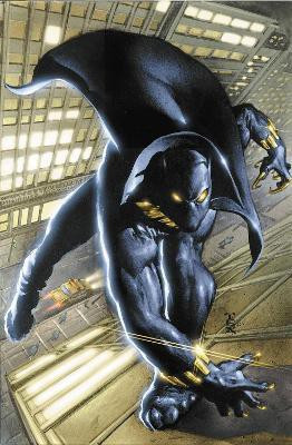 Black Panther By Christopher Priest Omnibus Vol. 1(English, Hardcover, Priest Christopher)