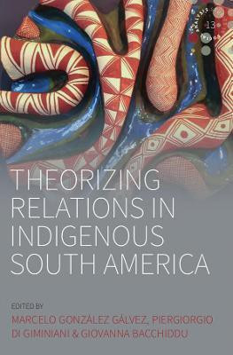 Theorizing Relations in Indigenous South America(English, Electronic book text, unknown)