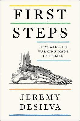 First Steps(English, Paperback, Desilva Jeremy)