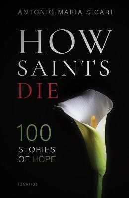How Saints Die(English, Paperback, Sicari Antonio Maria)