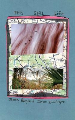 This Still Life(English, Paperback, Benger James)