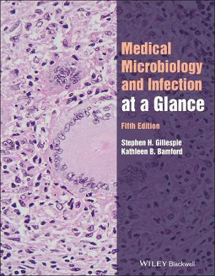 Medical Microbiology and Infection at a Glance(English, Paperback, Gillespie Stephen H.)