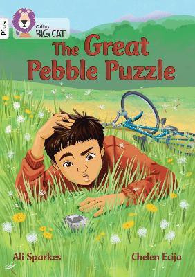 The Great Pebble Puzzle(English, Paperback, Sparkes Ali)