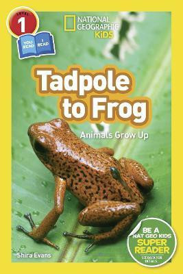 National Geographic Kids Readers: Tadpole to Frog (L1/Co-reader)(English, Paperback, National Geographic Kids Shira)