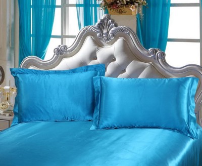 DEHMAN Printed Pillows Cover(Pack of 2, 48 cm*30 cm, Light Blue)