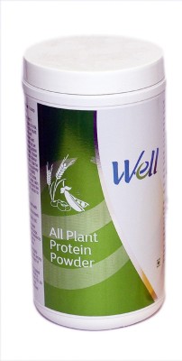 Modicare Well Plant-Based Protein(500 g, natural)