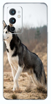 Toppings OnePlus 9RT (5G) Mobile Skin(Multicolor)