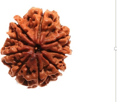 Senroar Original 9 mukhi Rudraksha Wood Pendant