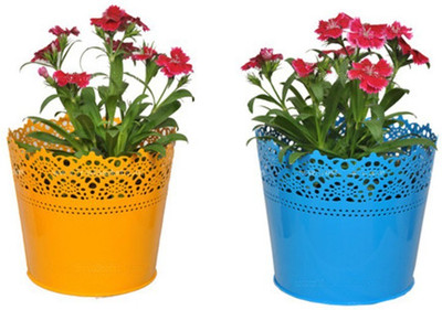 TrustBasket Set Of 2 - Half Lace finish Yellow and Blue Plant Container Set(Pack of 2, Metal)