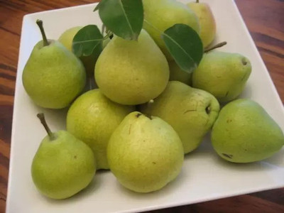 Chalisa Pear Seed(10 per packet)