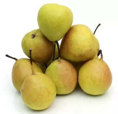 Chalisa Pear Seed(40 per packet)