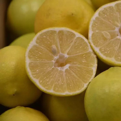 Aro Lemon, Nimbu Seed(82 per packet)