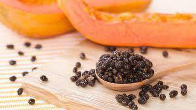 SM Exports Arka Prabhath papaya fruit seeds 100 seeds per pack. Seed(100 per packet)