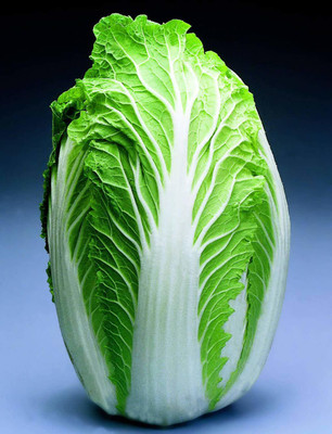 Decon Cabbage Seed(200 per packet)