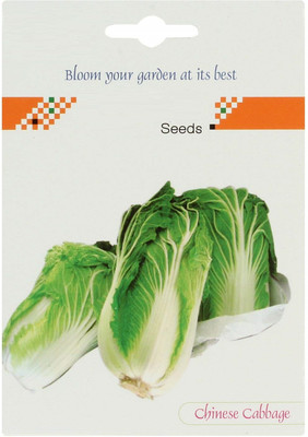 MKR Enterprises Chinese Cabbage Seed(150 per packet)