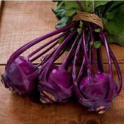 MKR Enterprises Knol Khol Seed(350 per packet)