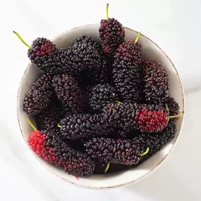 MAA MulBerry, Mulberries, Shahtoot Seed(100 per packet)
