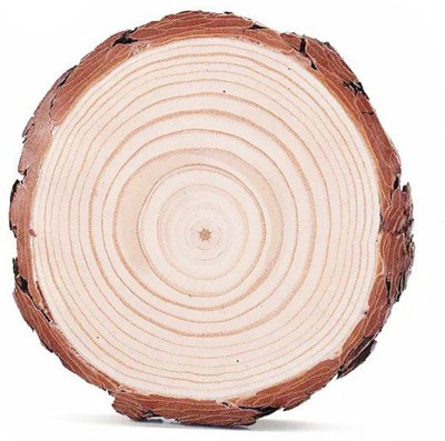 PRANSUNITA Big Size Natural Unfinished Wood Slice 6.5 inch, Round Wood Discs Tree Bark