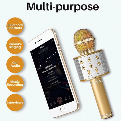 Stybits ED_WS 858 Pro Bluetooth Karaoke Mic With Speaker Pack Of 1 Microphone