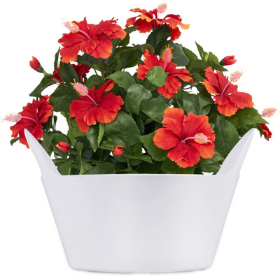 Sharpex Basket Type Flower White Pot Elegant Design Ideal for Indoor/Outdoor Gardening Plant Container Set(Plastic)